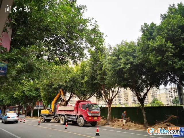 早点！宁德新闻 「2020-08-10」-8.jpg