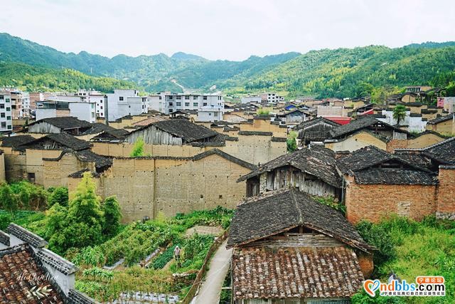 宁德的美丽乡村，被誉为天然空调，好像来到陶渊明的世外桃源-11.jpg