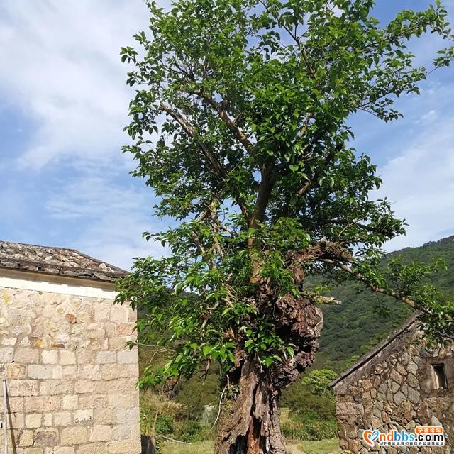 旅行的意义---带你去浮鹰岛-10.jpg