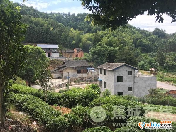 八都炉洋老区村 急盼安全饮用水-1.jpg