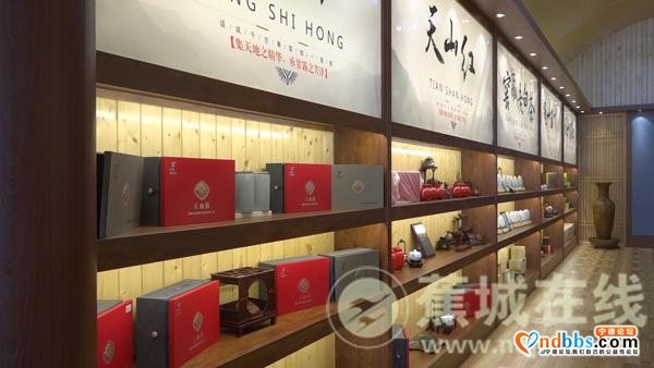 蕉城：省委宣传部莅蕉开展首届海丝国际文化论坛系列活动-11.jpg