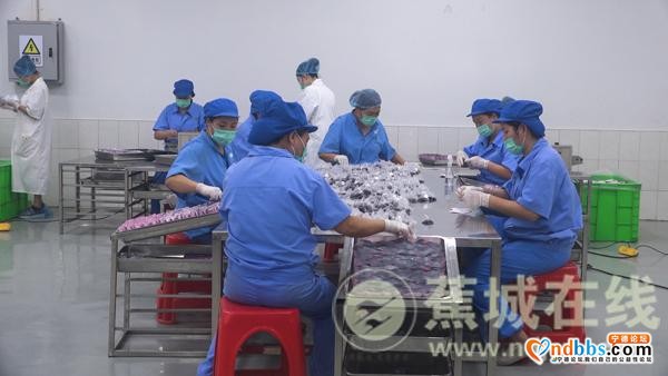 蕉城：省委宣传部莅蕉开展首届海丝国际文化论坛系列活动-9.jpg