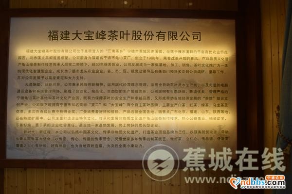 蕉城：省委宣传部莅蕉开展首届海丝国际文化论坛系列活动-14.jpg