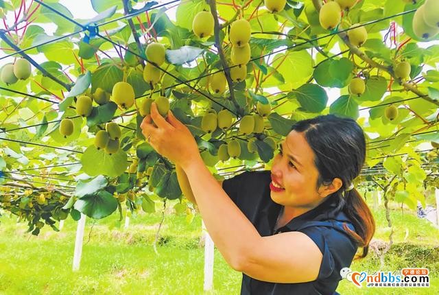 宁德这些美丽乡村，你走过的有多少？-3.jpg