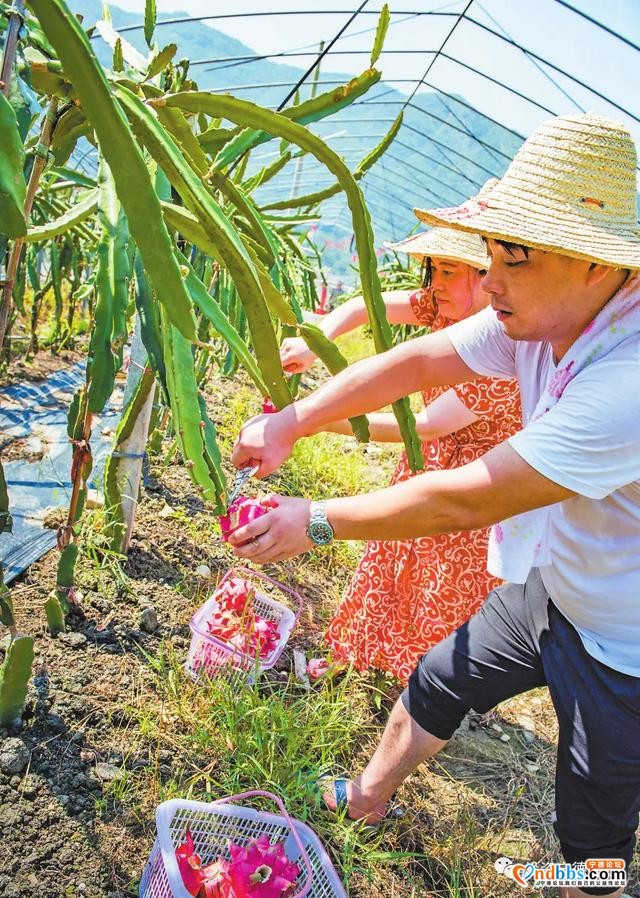 宁德这些美丽乡村，你走过的有多少？-5.jpg