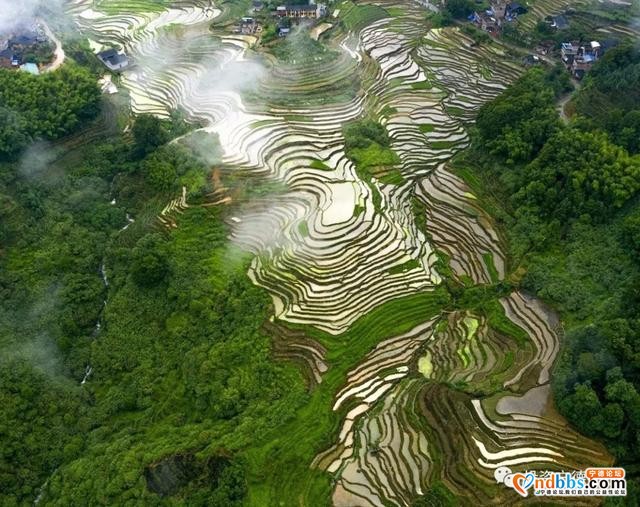 宁德这些美丽乡村，你走过的有多少？-16.jpg