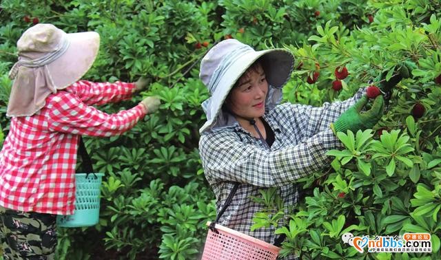 宁德这些美丽乡村，你走过的有多少？-26.jpg