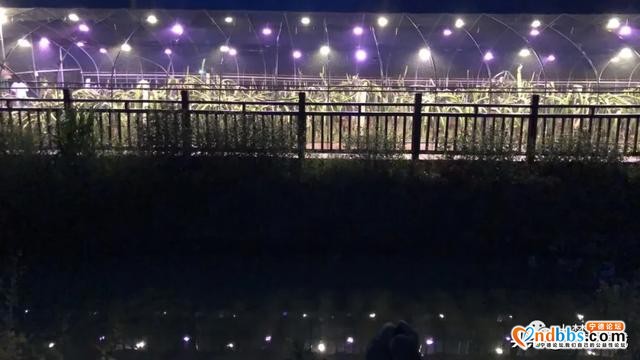助农 | 赤溪果园竟然搞起了灯光秀！快一起看看吧~-3.jpg