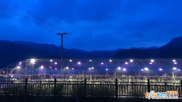 助农 | 赤溪果园竟然搞起了灯光秀！快一起看看吧~-6.jpg