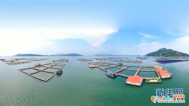 走向我们的小康生活｜弱鸟先飞今翱翔——宁德的逆袭-4.jpg
