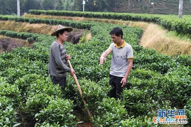 走向我们的小康生活｜弱鸟先飞今翱翔——宁德的逆袭-11.jpg
