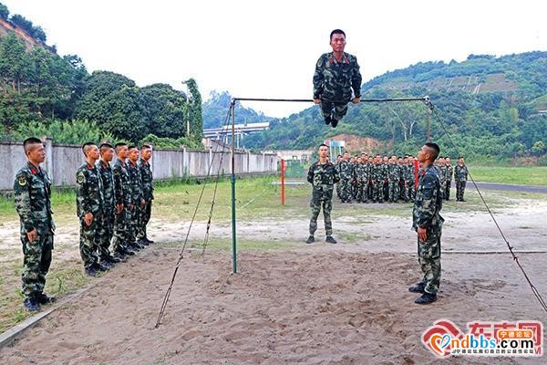 武警宁德支队组织预提指挥士官集训（三）-2.jpg