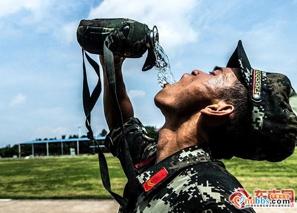 武警宁德支队组织预提指挥士官集训（三）-1.jpg
