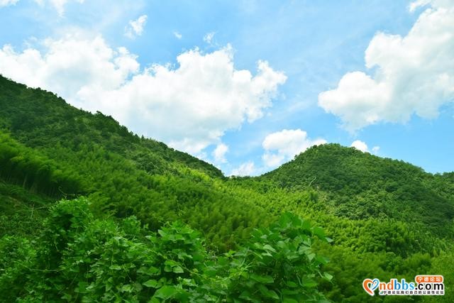 宁德市蕉城区石后乡：深山中的美味果园——脐橙基地-1.jpg