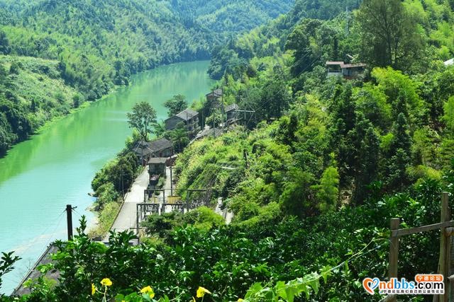 宁德市蕉城区石后乡：深山中的美味果园——脐橙基地-5.jpg