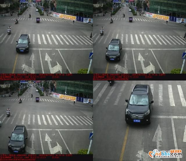 霞浦：红绿灯下 | 曝光台下有无您？知法守法平安行-5.jpg