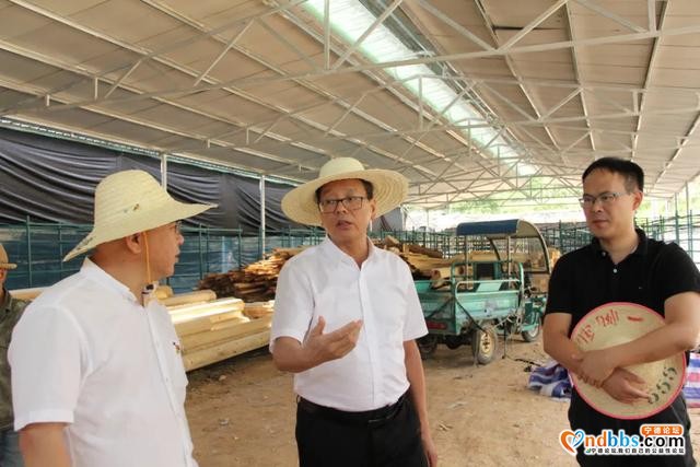 市领导深入古田县调研-1.jpg