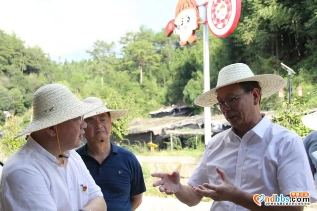 市领导深入古田县调研-2.jpg