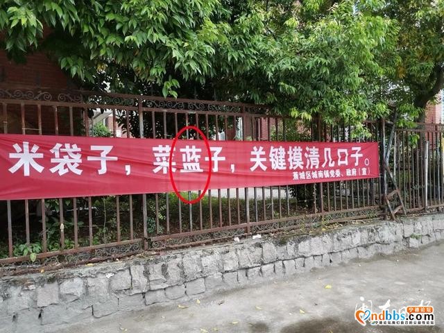 宁德新闻红黑榜?丨遛狗未戴束犬链、工程车辆擅自安装警灯……真不文明-2.jpg