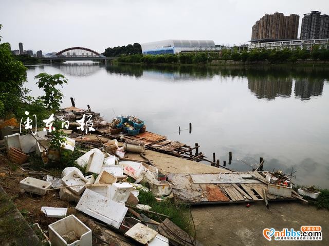 宁德新闻红黑榜?丨遛狗未戴束犬链、工程车辆擅自安装警灯……真不文明-4.jpg