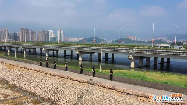 为了白鹭重归家园，强力推进东湖湿地资源景观建设-4.jpg