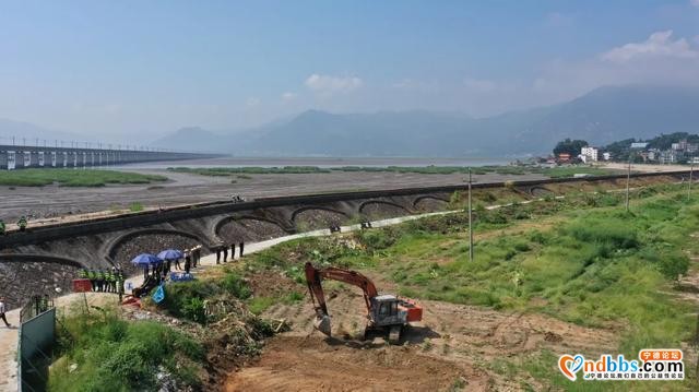 为了白鹭重归家园，强力推进东湖湿地资源景观建设-5.jpg