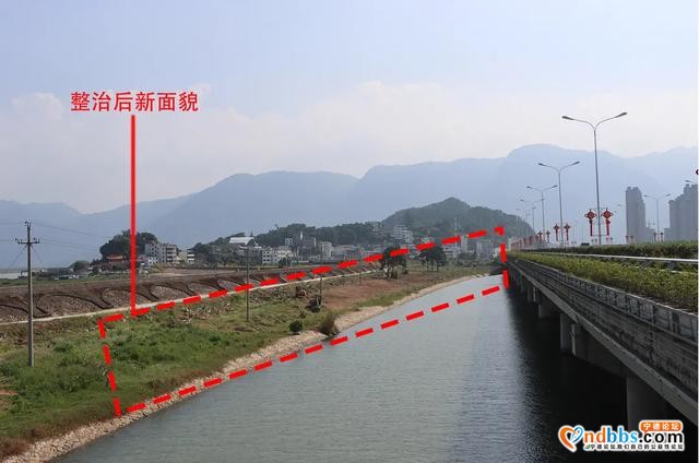 为了白鹭重归家园，强力推进东湖湿地资源景观建设-7.jpg