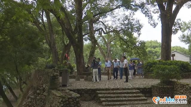 宁德市政协到我市开展“文旅融合发展”课题调研-18.jpg