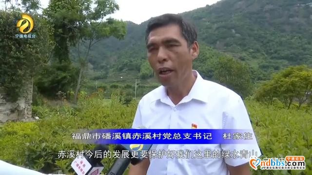 央视“心连心”宁德慰问演出在我市引发强烈反响-8.jpg