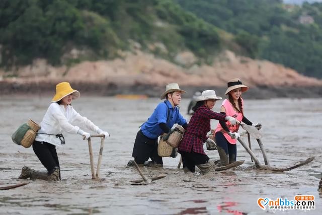 宁德新貌获明星点赞、引网友关注-7.jpg