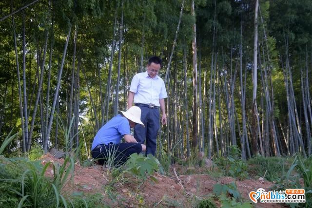 蕉北果农挖出新石器晚期大型石锛！距今约3000多年-3.jpg