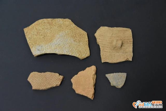 蕉北果农挖出新石器晚期大型石锛！距今约3000多年-15.jpg