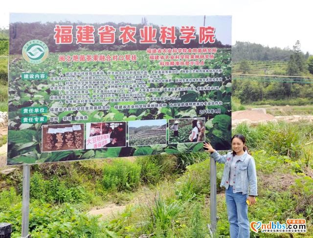 青春盛会！看宁德代表乘风破浪-6.jpg