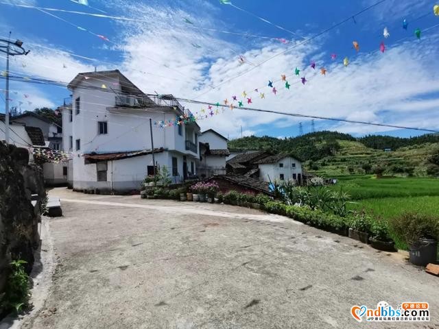 宁德市蕉城区石后乡三望村：市级贫困村的逆袭-2.jpg