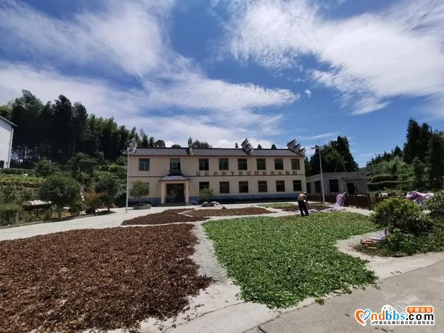 宁德市蕉城区石后乡三望村：市级贫困村的逆袭-13.jpg