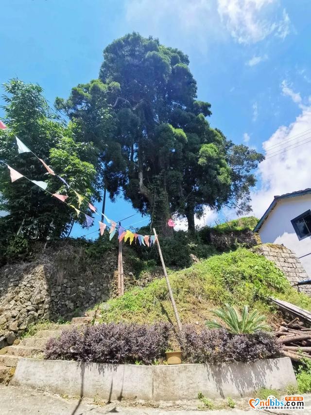 宁德市蕉城区石后乡三望村：市级贫困村的逆袭-25.jpg