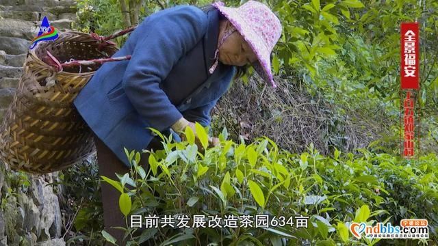 上白石这个村被誉为“深山百年无赌村”-17.jpg