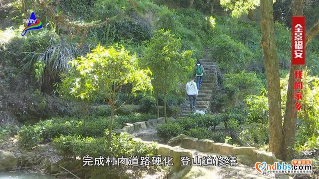 上白石这个村被誉为“深山百年无赌村”-21.jpg
