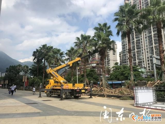 宁德新闻红榜 | 为城市道路“美容”市民出行更安全有序-1.jpg