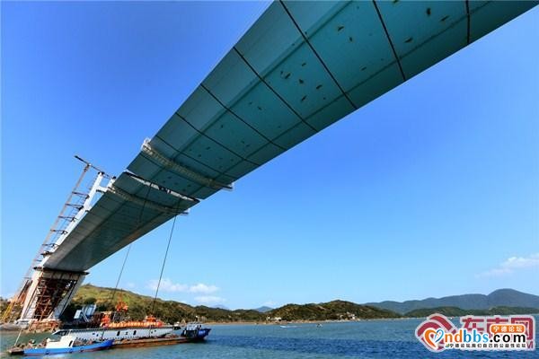 闽浙沿海添新通道 宁德沙埕湾跨海大桥主桥合龙-6.jpg