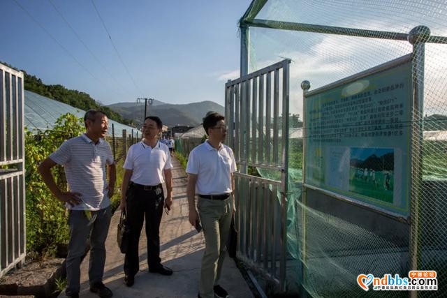 宁德：省科技厅农村科技处王志锋处长调研 我市农业科研和科技扶贫工作-1.jpg