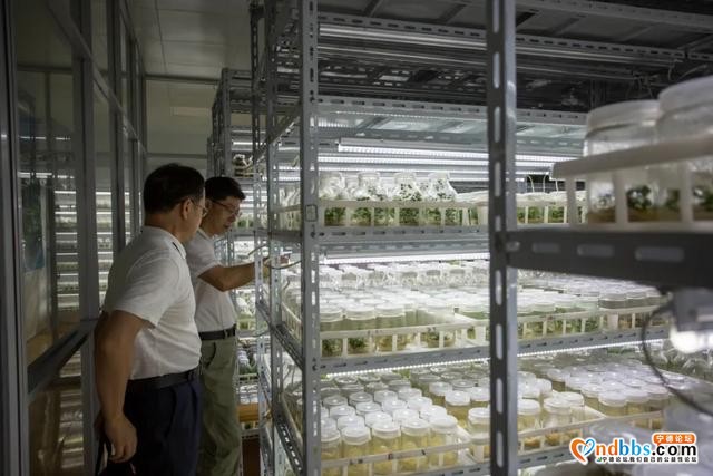 宁德：省科技厅农村科技处王志锋处长调研 我市农业科研和科技扶贫工作-3.jpg
