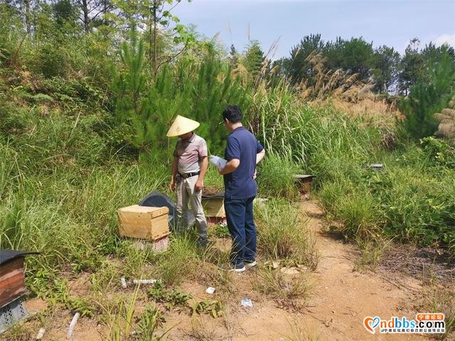 宁德市审计局驻屏南县审计组关注特色产业扶贫项目实施-1.jpg