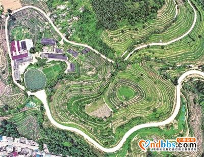 走进甜美田园·茶仙小镇—省市文艺工作者寿宁笔会暨文学采风随感-1.jpg