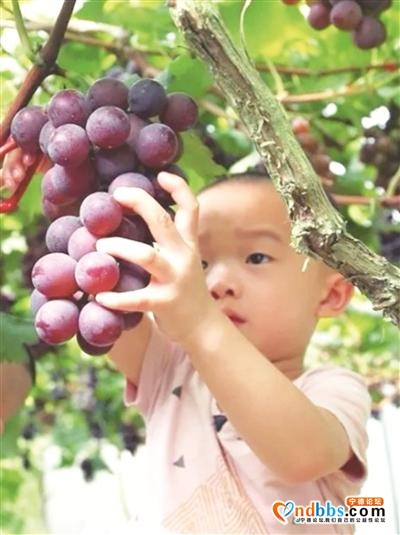 走进甜美田园·茶仙小镇—省市文艺工作者寿宁笔会暨文学采风随感-2.jpg