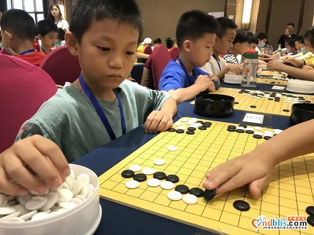 宁德458名小棋手的“风云对弈”，最小的棋手只有4周岁-5.jpg