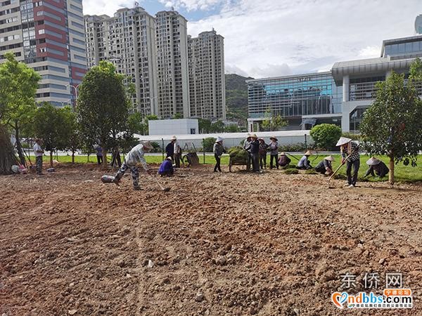 东侨开发区火车站站前广场景观工程升级改造项目稳步推进-3.jpg