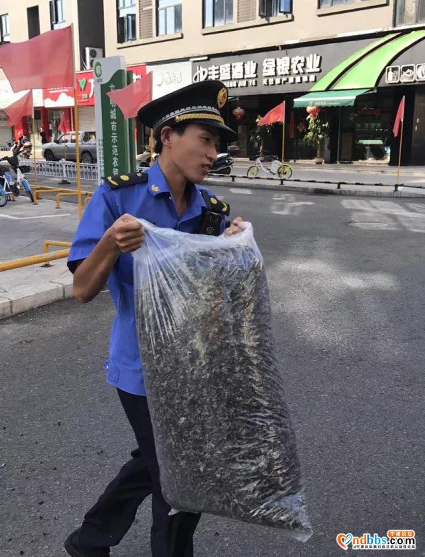 东侨支队 | 探秘——城管小姐姐的菜篮子-11.jpg