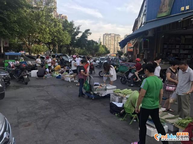 东侨支队 | 探秘——城管小姐姐的菜篮子-14.jpg