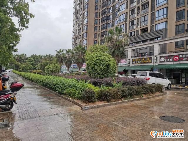 东侨支队 | 探秘——城管小姐姐的菜篮子-28.jpg
